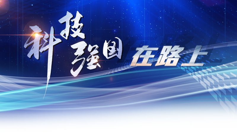 SaaS平台排名解析：揭秘前十类别背后的关键要素